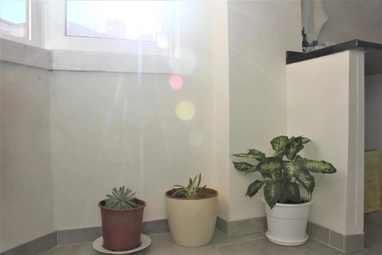 Olivia House Apartment Lisbon
